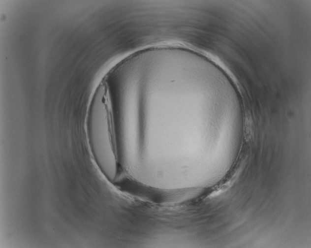 X0000067910959200605041640