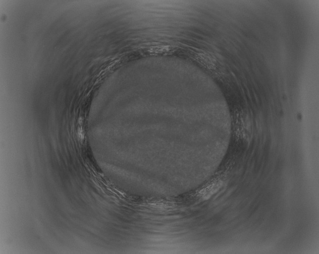 X0000067910962200605041639