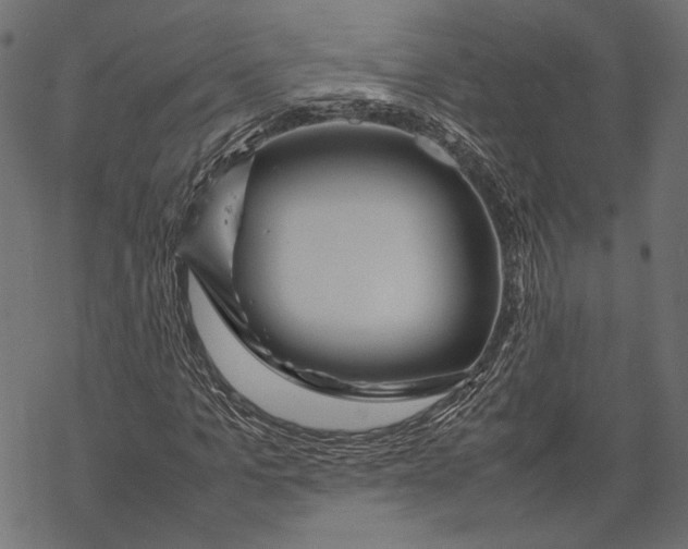 X0000067910965200605041639