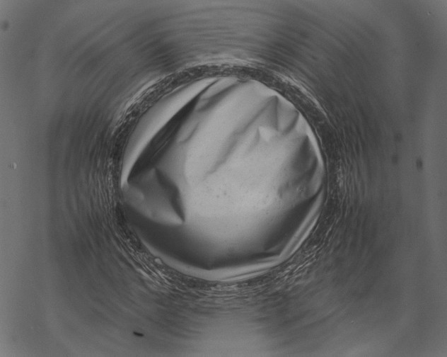 X0000067910968200605041639