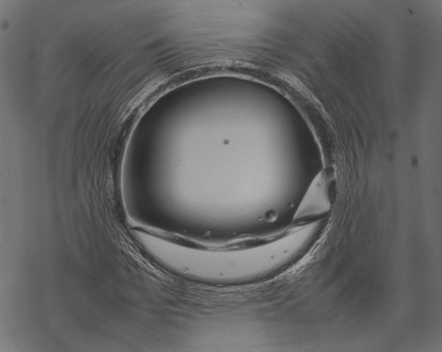 X0000067910969200605041639