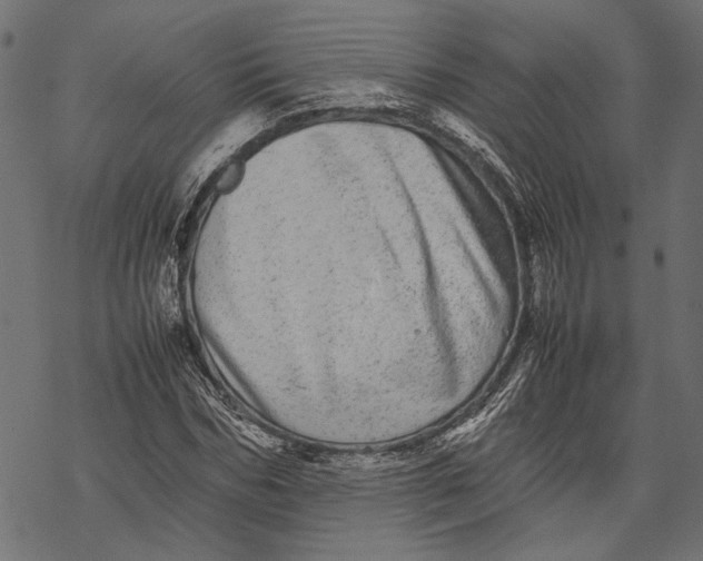 X0000067910970200605041639