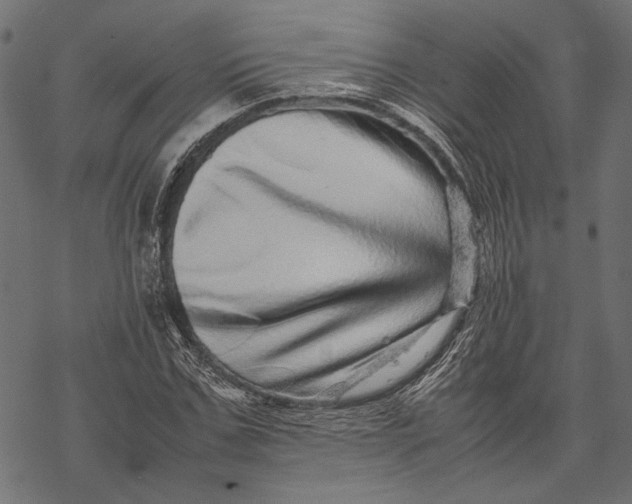 X0000067910971200605041639