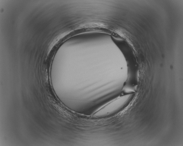 X0000067910973200605041639