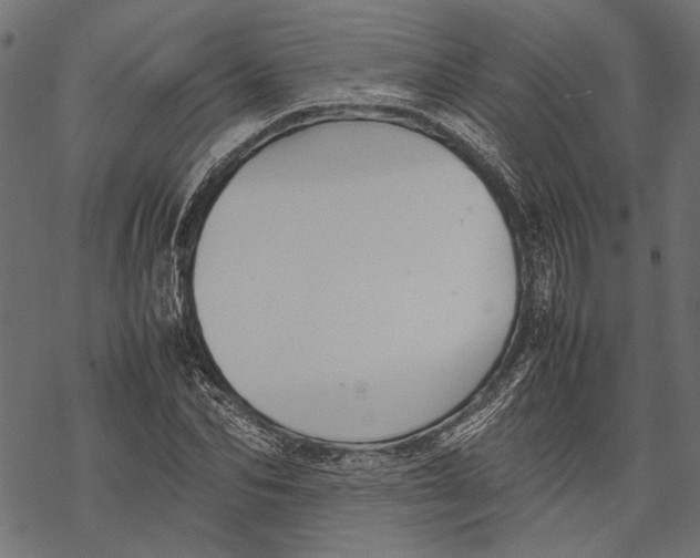 X0000067910974200605041639