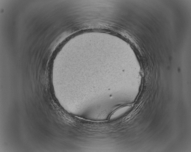 X0000067910975200605041639