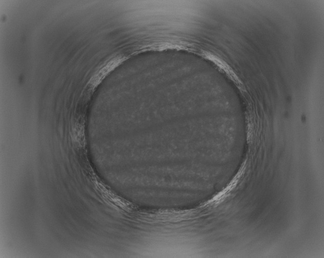 X0000067910977200605041639