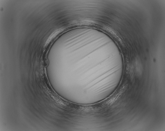 X0000067910978200605041639