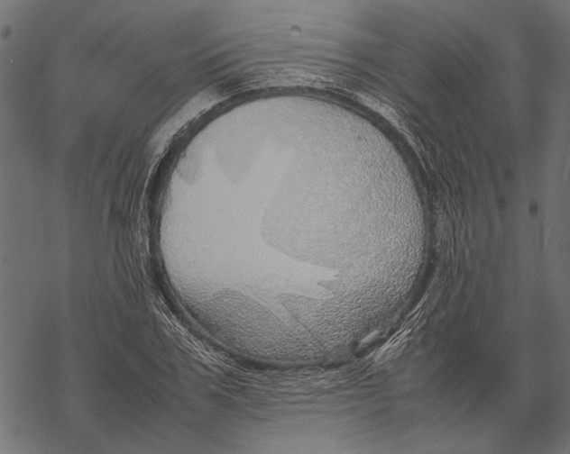 X0000067910979200605041639