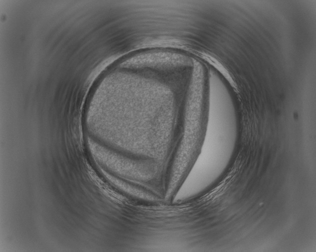 X0000067910980200605041639