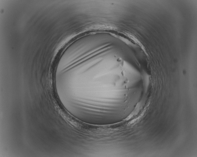 X0000067910981200605041639