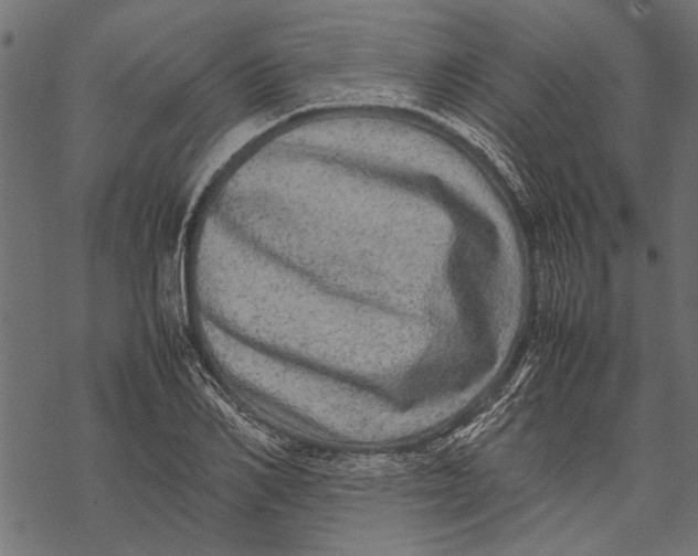 X0000067910982200605041639