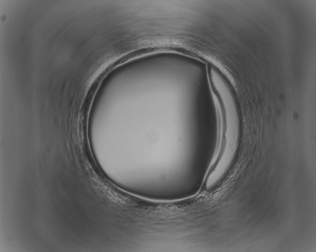 X0000067910983200605041639