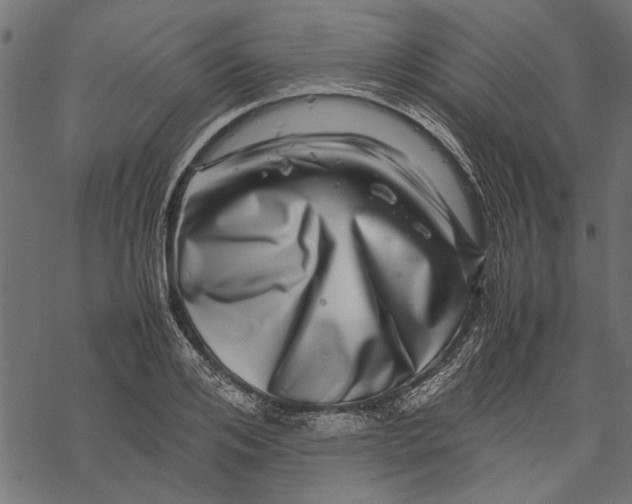 X0000067910984200605041639