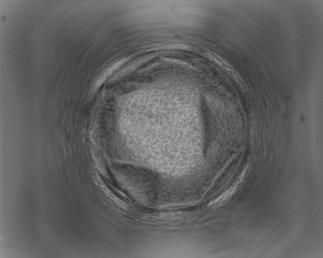 X0000067910985200605041639