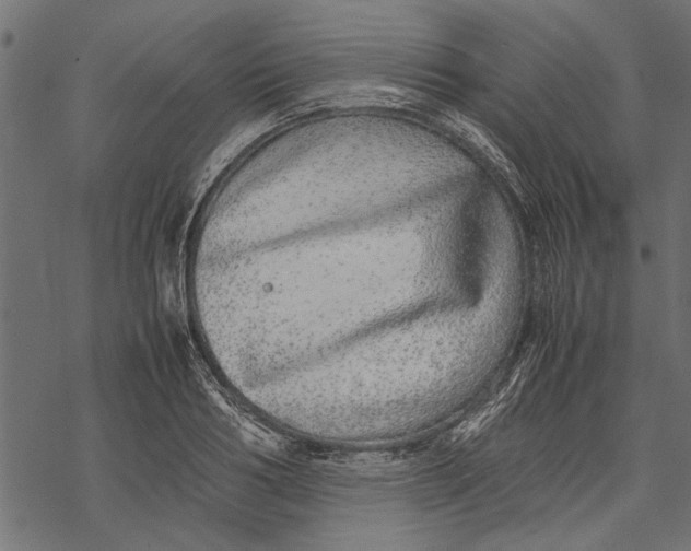 X0000067910986200605041639