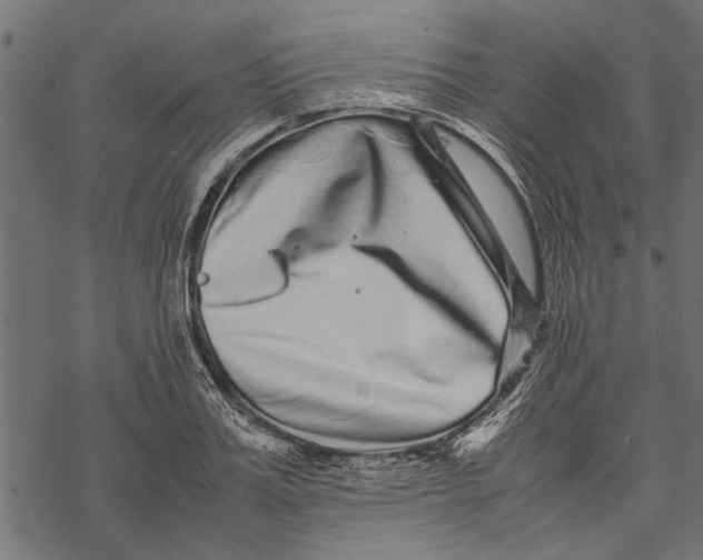 X0000067910987200605041639