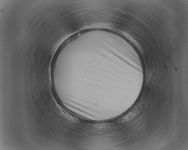 X0000067910988200605041639