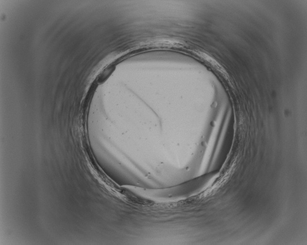 X0000067910989200605041639