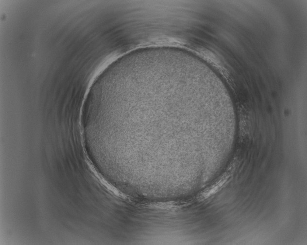 X0000067910990200605041639