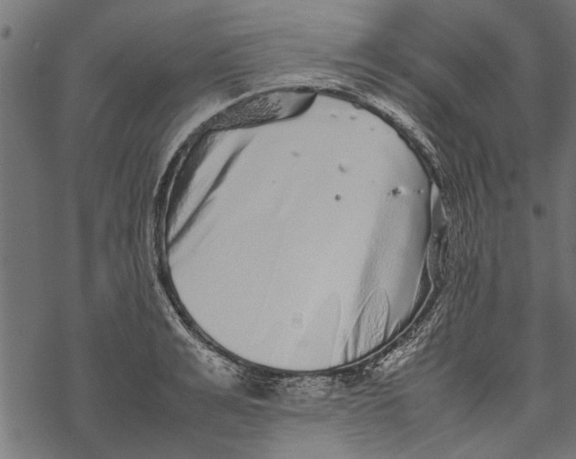 X0000067910991200605041639