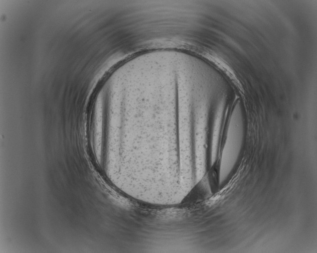 X0000067910992200605041639