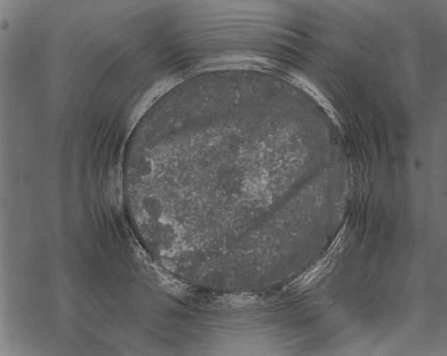 X0000067910994200605041639