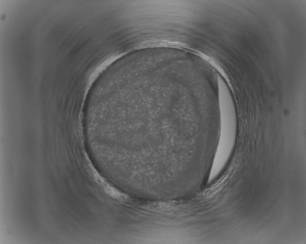 X0000067910995200605041639