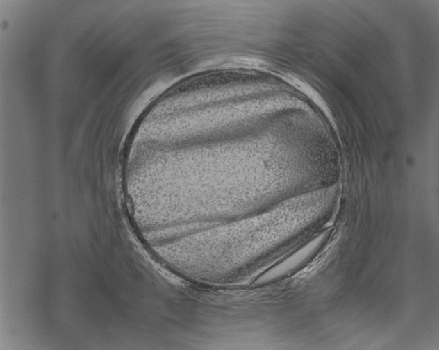 X0000067910997200605041639