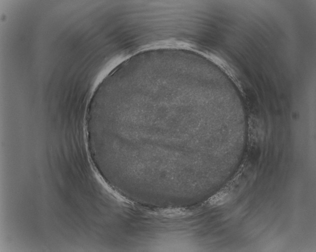 X0000067910998200605041639