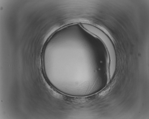 X0000067910999200605041639