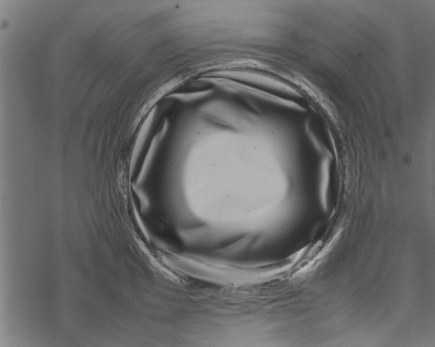 X0000067911001200605041639