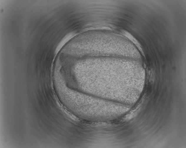 X0000067911002200605041639