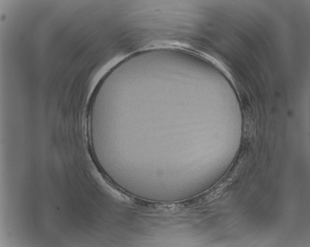 X0000067911003200605041638