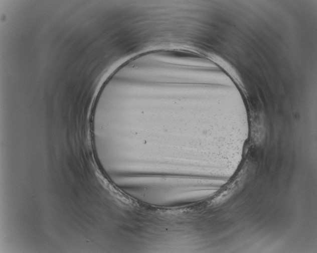 X0000067911004200605041638