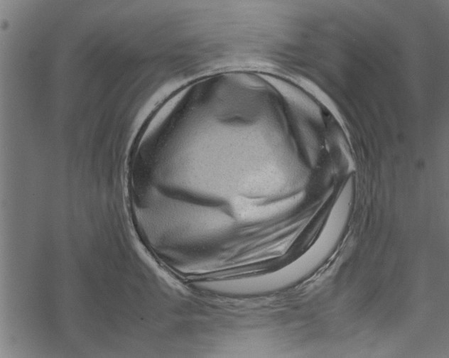 X0000067911005200605041638