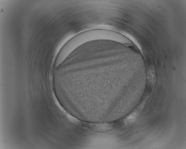 X0000067911007200605041638