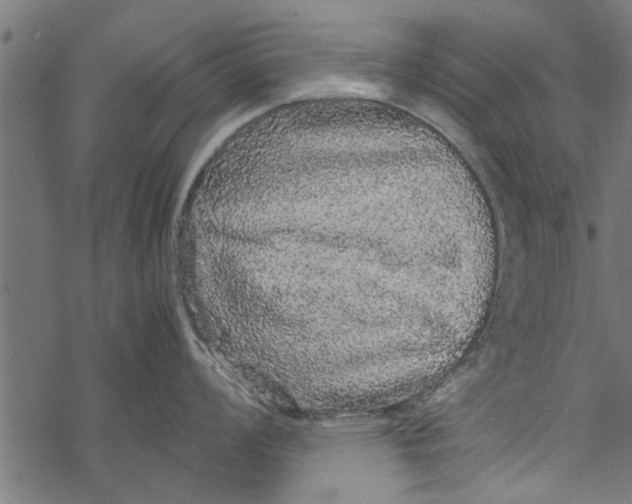 X0000067911008200605041638