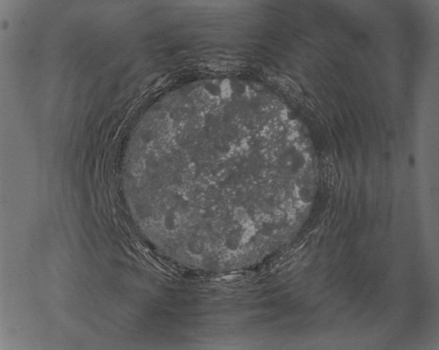 X0000067911009200605041638