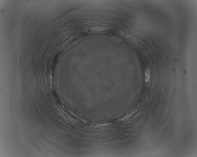 X0000067911011200605041638