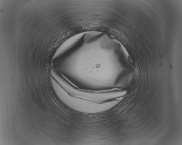 X0000067911012200605041638