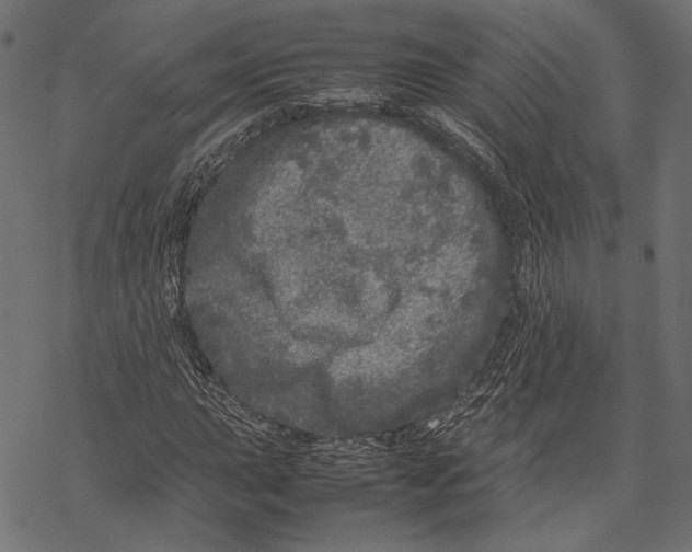 X0000067911015200605041638