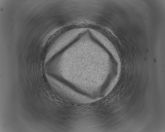 X0000067911016200605041638