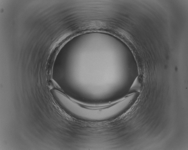 X0000067911018200605041638