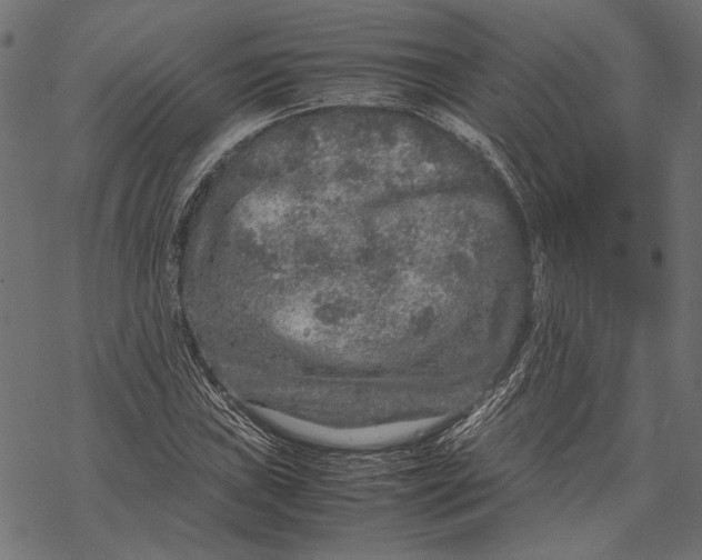 X0000067911019200605041638