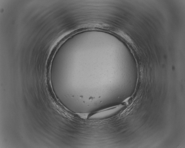 X0000067911020200605041638