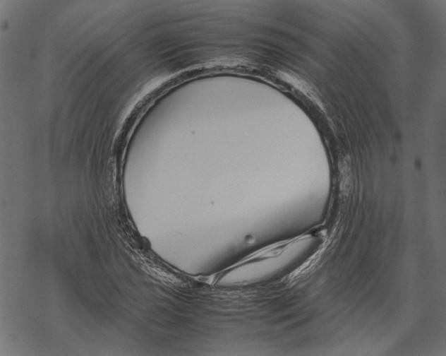 X0000067911021200605041638