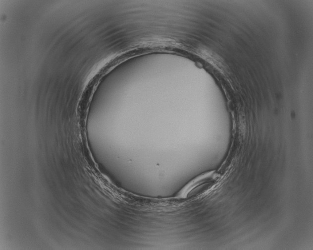 X0000067911022200605041638