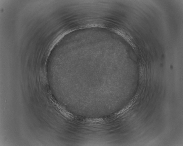 X0000067911023200605041638