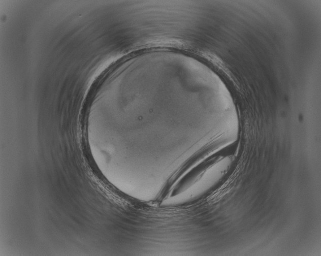 X0000067911024200605041638